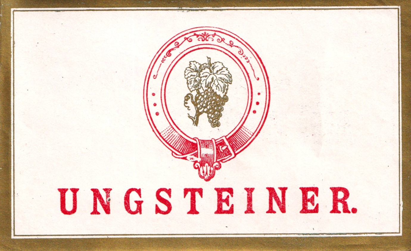 neuestes -Etikett